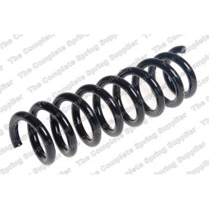 Coil Spring - Rear