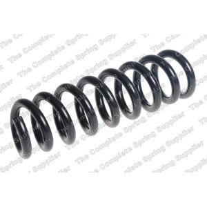 Coil Spring - Rear