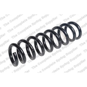 Coil Spring - Rear