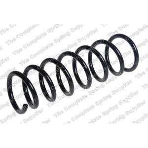 Coil Spring - Rear