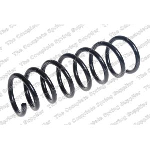 Coil Spring - Rear