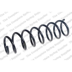 Coil Spring - Rear