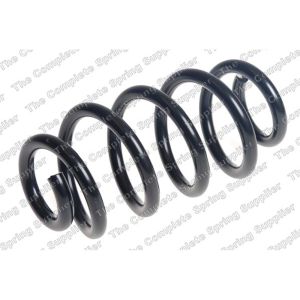 Coil Spring - Rear