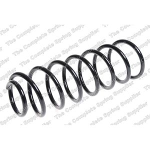 Coil Spring - Rear