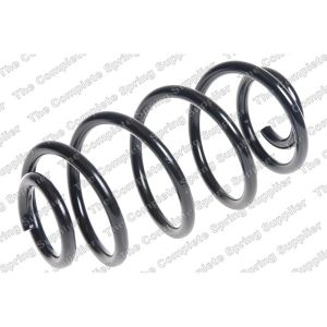 Coil Spring - Rear