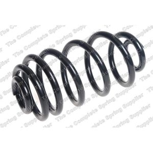 Coil Spring - Rear