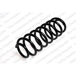 Coil Spring - Rear