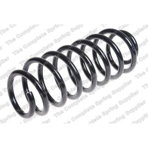 Coil Spring - Rear