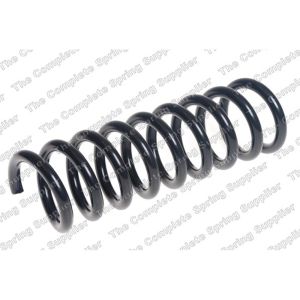 Coil Spring - Rear