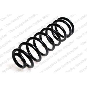 Coil Spring - Rear