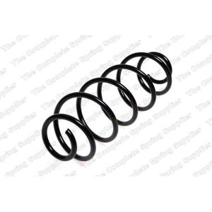 Coil Spring - Rear