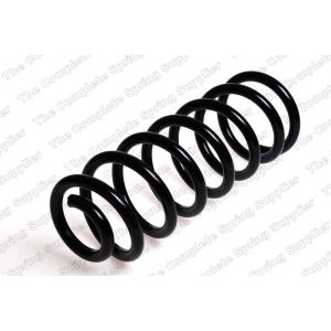 Coil Spring - Rear