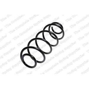 Coil Spring - Rear