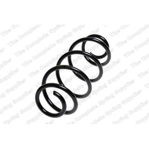 Coil Spring - Rear