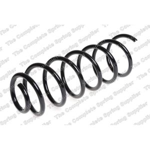 Coil Spring - Rear