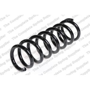 Coil Spring - Rear