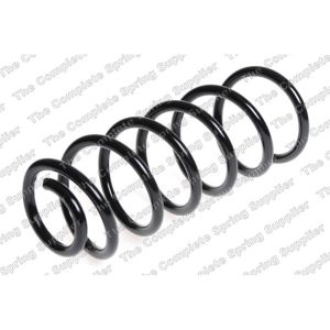 Coil Spring - Rear