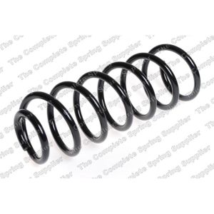 Coil Spring - Rear