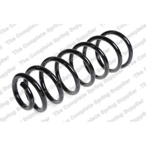 Coil Spring - Rear