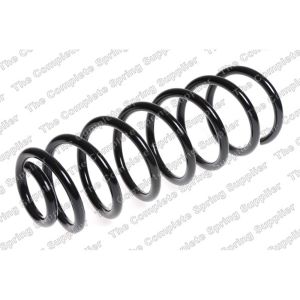 Coil Spring - Rear