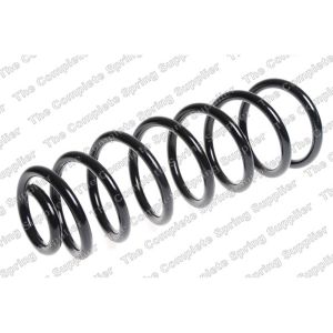 Coil Spring - Rear