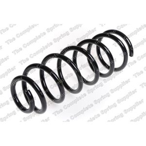 Coil Spring - Rear