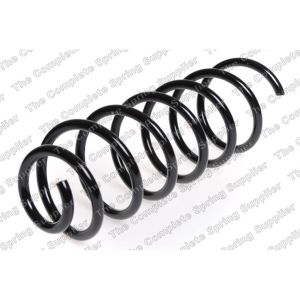 Coil Spring - Rear