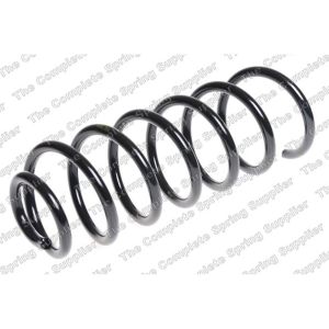 Coil Spring - Rear