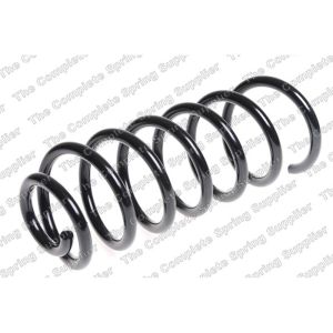 Coil Spring - Rear