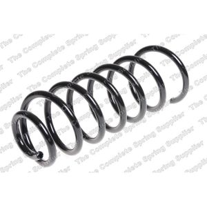 Coil Spring - Rear