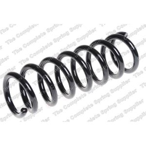 Coil Spring - Rear