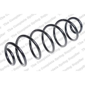 Coil Spring - Rear