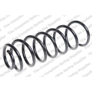 Coil Spring - Rear