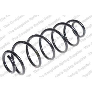 Coil Spring - Rear