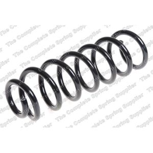 Coil Spring - Rear