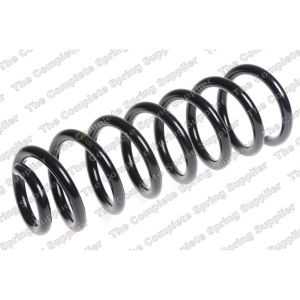 Coil Spring - Rear