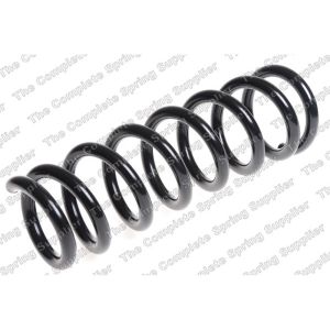 Coil Spring - Rear