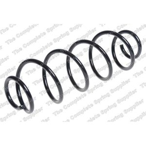 Coil Spring - Rear