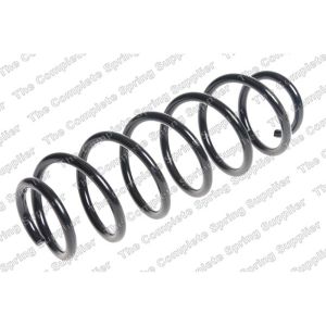 Coil Spring - Rear