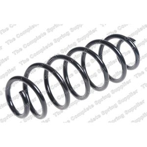 Coil Spring - Rear