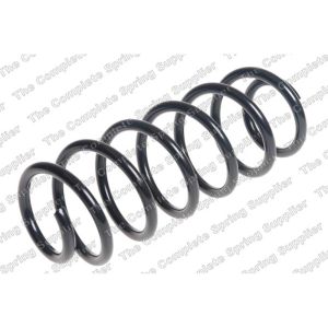 Coil Spring - Rear