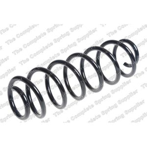 Coil Spring - Rear