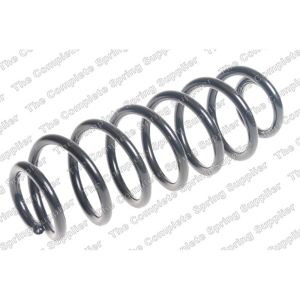 Coil Spring - Rear