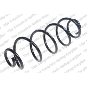 Coil Spring - Rear