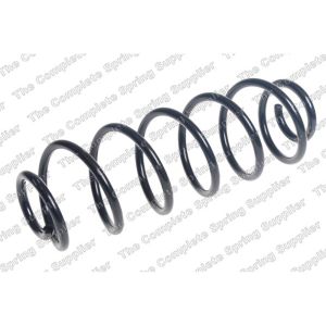 Coil Spring - Rear