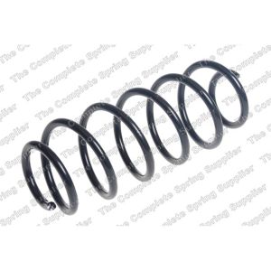 Coil Spring - Rear