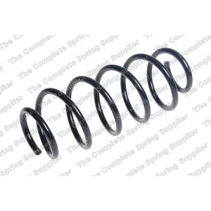 Coil Spring - Rear