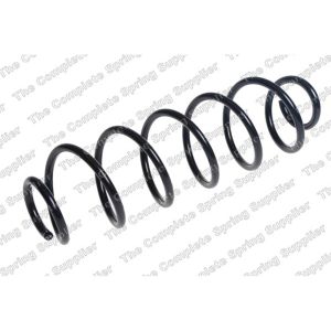 Coil Spring - Rear