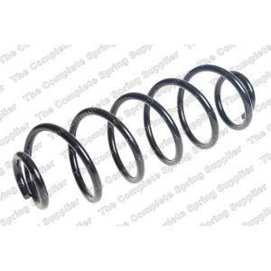 Coil Spring - Rear