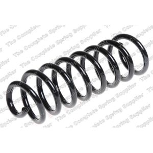 Coil Spring - Rear